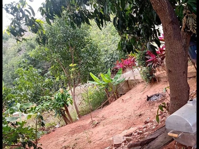 Chácara à venda Centro com 652m² e 3 quartos por R$ 150.000 - 1106513301-120149758-2596161150695616-3701856480364601336-n.jpg