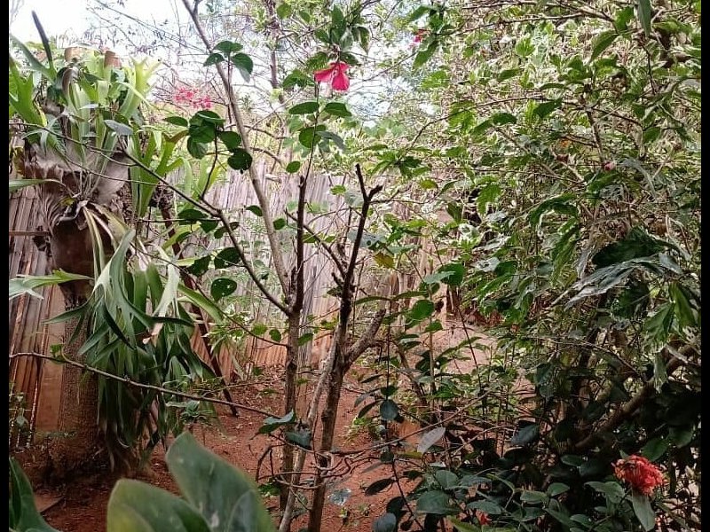 Chácara à venda Centro com 652m² e 3 quartos por R$ 150.000 - 65210085-120017991-3544830818900673-3135915821396270405-n.jpg