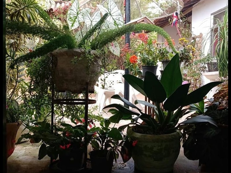 Chácara à venda Centro com 652m² e 3 quartos por R$ 150.000 - 710342017-120040268-1050737275383274-2342394298436264746-n.jpg
