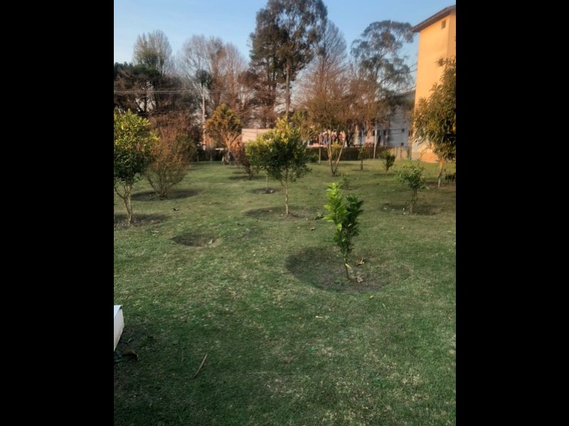 Apartamento à venda Afonso Pena com 4m² e 3 quartos por R$ 200.000 - 1044502500-externa.jpg