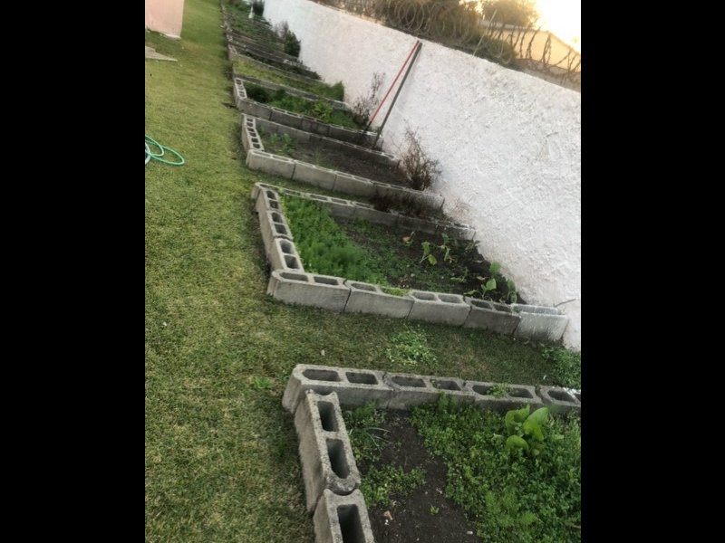 Apartamento à venda Afonso Pena com 4m² e 3 quartos por R$ 200.000 - 1239827089-horta.jpg
