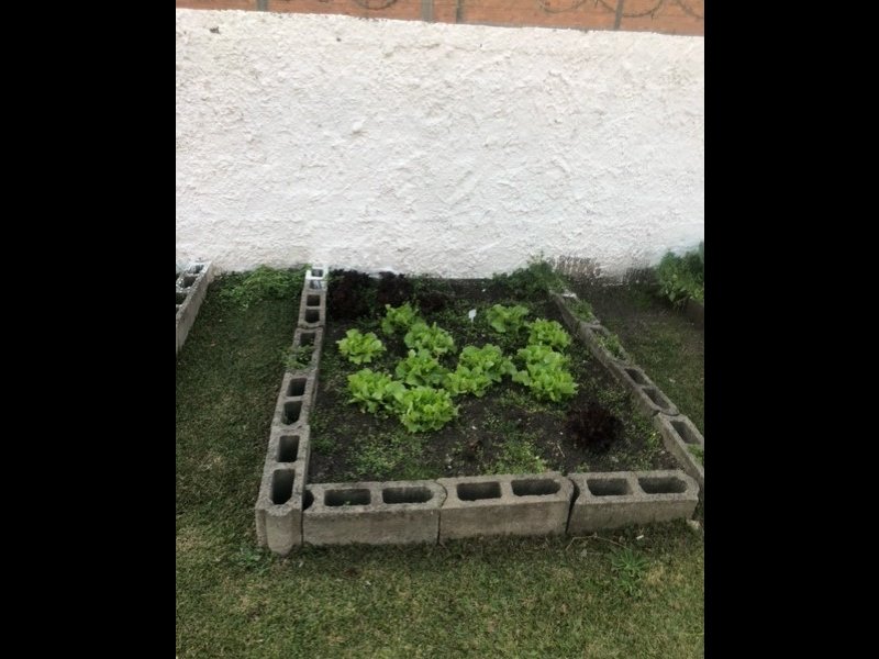 Apartamento à venda Afonso Pena com 4m² e 3 quartos por R$ 200.000 - 1390540835-hortinha.jpg