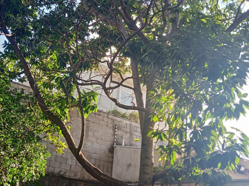 Casa à venda Parque Nova Campinas com 388m² e 3 quartos por R$ 748.583 - 734658225-whatsapp-image-2021-07-25-at-21.jpeg