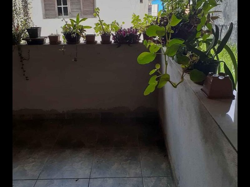 Casa à venda Vila São João com 224m² e 3 quartos por R$ 580.000 - 1225800298-screenshot-20210810-141831-facebook.jpg