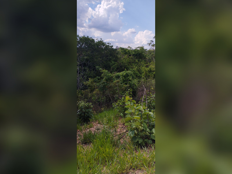 Chácara à venda Mansões Suleste com 5323m² e 5 quartos por R$ 350.000 - img-20231012-153708.jpg