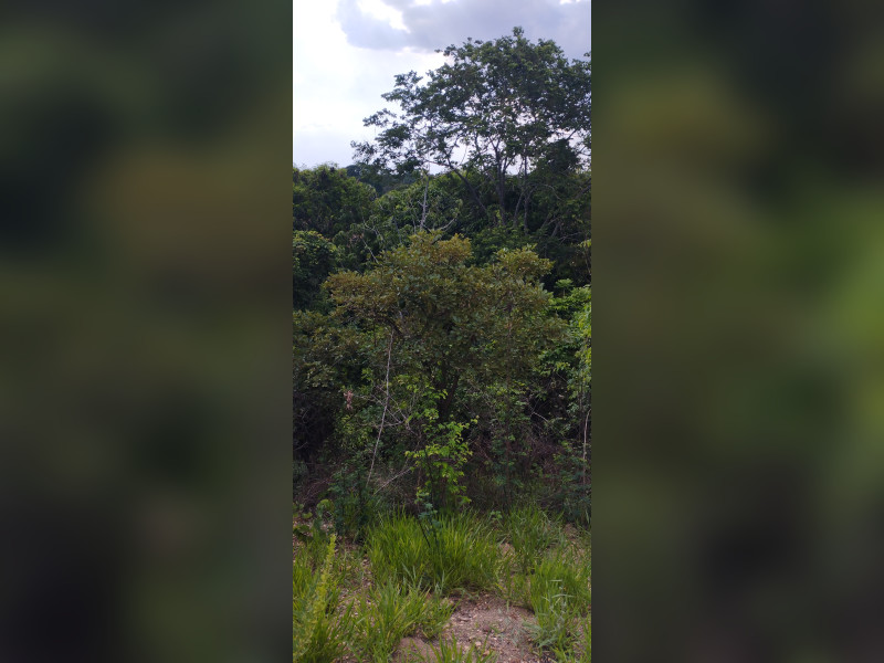 Chácara à venda Mansões Suleste com 5323m² e 5 quartos por R$ 350.000 - img-20231012-153934.jpg