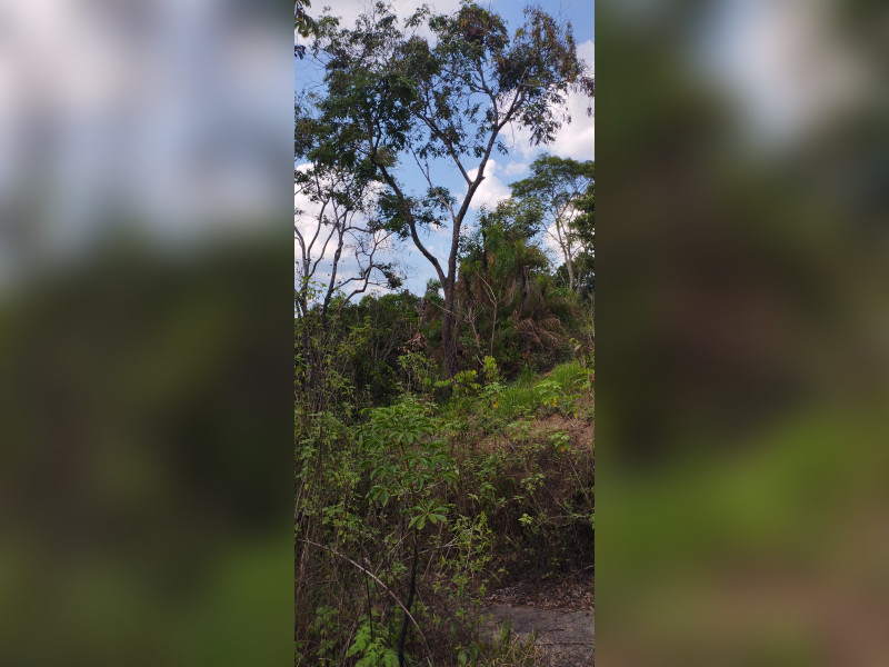 Chácara à venda Mansões Suleste com 5323m² e 5 quartos por R$ 350.000 - img-20231012-153939.jpg