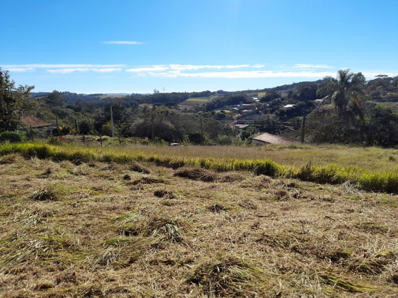Terreno à venda centro com 2380m² e 1 quarto por R$ 130.000 - 448147442-202fb7bb-3e1d-4cc3-97fb-8e934ad22f00.jpg
