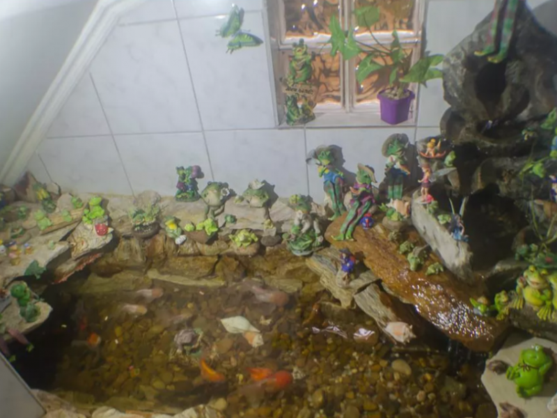 Casa à venda Vila Nhocune com 250m² e 3 quartos por R$ 650.000 - 1743969972-inbound1617604555724579087.png