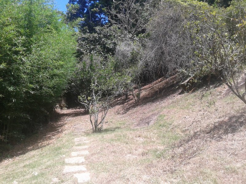 Casa à venda Parque do Imbui com 276m² e 5 quartos por R$ 1.198.000 - 1568215009-20180209-140211.jpg