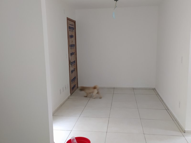Apartamento à venda Jardim das Margaridas com 46m² e 2 quartos por R$ 170.000 - 1127984390-img-20210409-131325.jpg