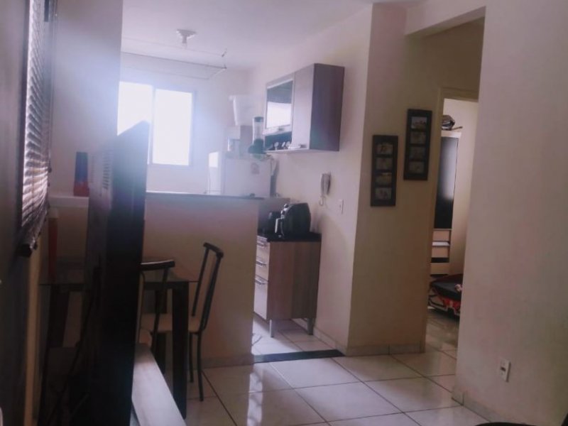 Apartamento à venda Jardim Residencial Roseira com 45m² e 2 quartos por R$ 160.000 - 125407850-c8114e7f-880b-44ad-a169-bec9b0f32fb1.jpg