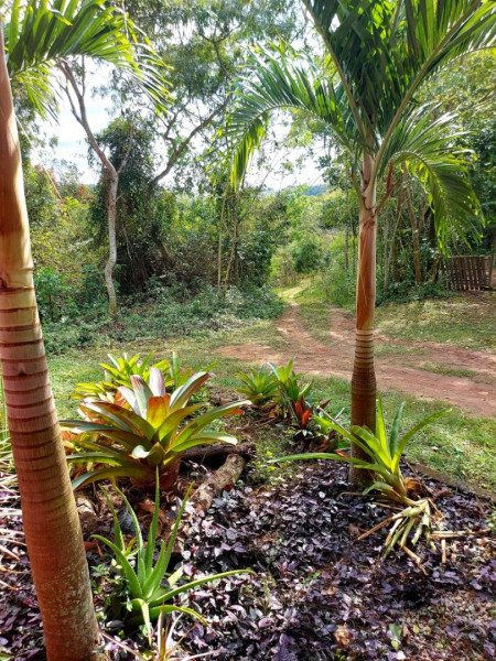imóvel com 37m² - Bonsucesso - Saquarema