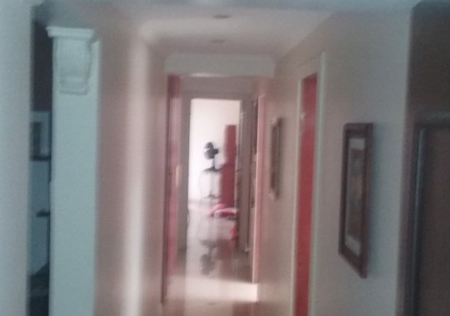 imóvel com 222m²