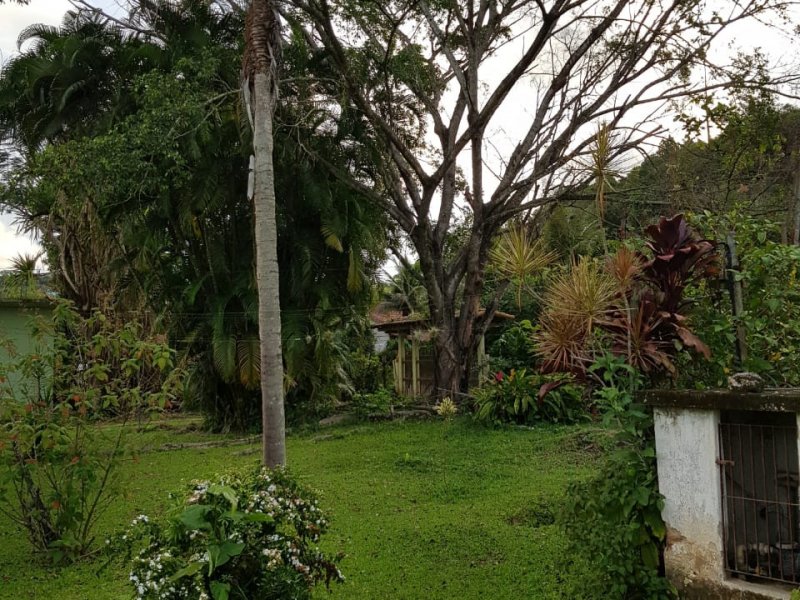 Sítio à venda Serra de Mato Grosso com 6400m² e 4 quartos por R$ 500.000 - 1335272969-whatsapp-image-2021-06-21-at-02.jpeg