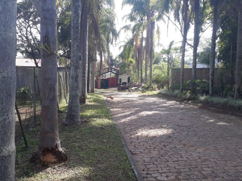 Chácara à venda Santa Inês com 1m² e 3 quartos por R$ 700.000 - 219515365-whatsapp-image-2021-08-05-at-18.jpeg