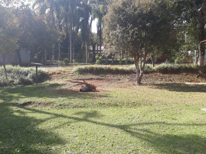 Chácara à venda Santa Inês com 1m² e 3 quartos por R$ 700.000 - 469979384-whatsapp-image-2021-08-05-at-18.jpeg