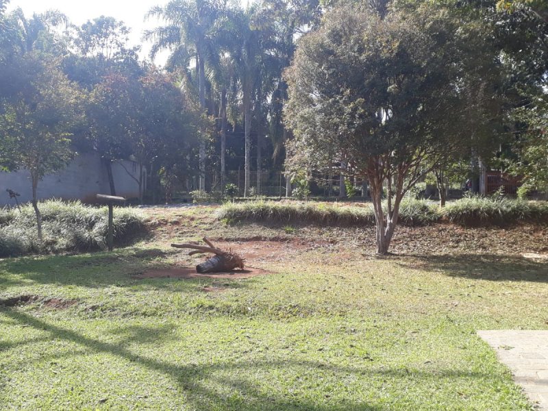 Chácara à venda Santa Inês com 1m² e 3 quartos por R$ 700.000 - 563799385-whatsapp-image-2021-08-05-at-18.jpeg