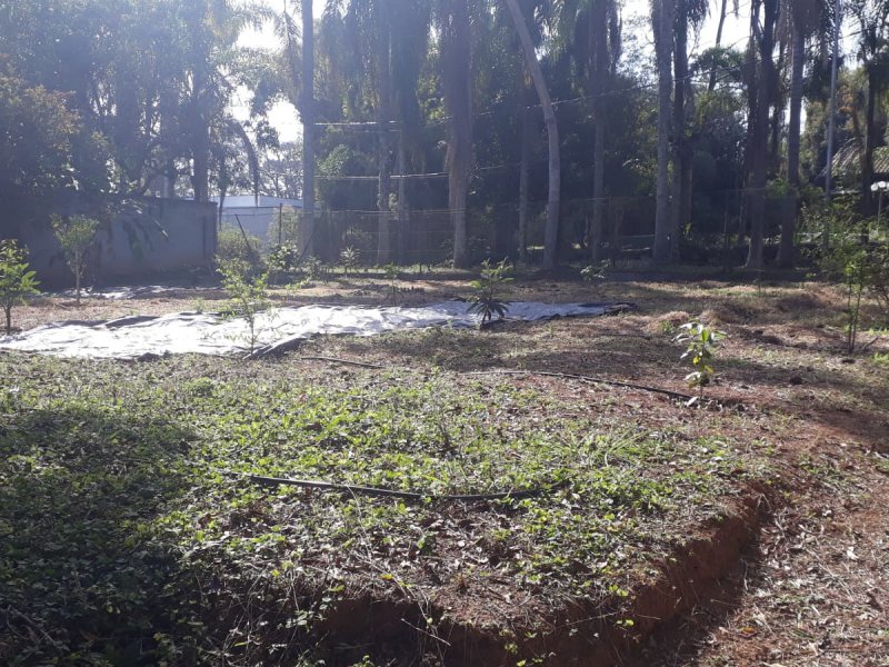 Chácara à venda Santa Inês com 1m² e 3 quartos por R$ 700.000 - 640207826-whatsapp-image-2021-08-05-at-18.jpeg