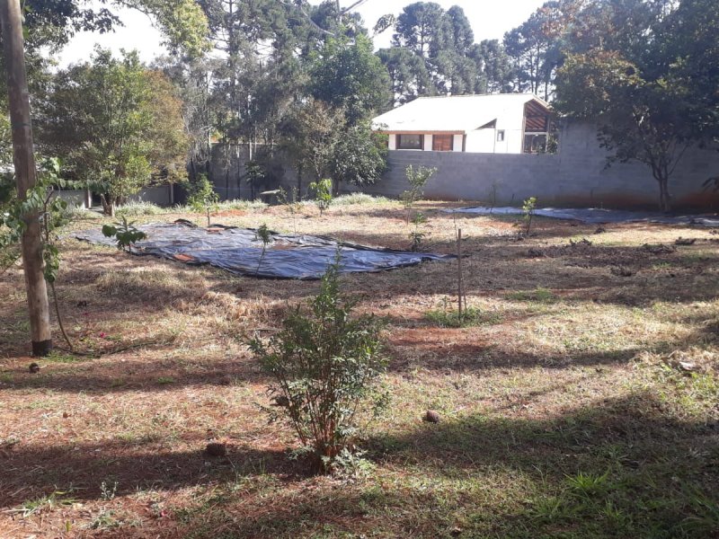 Chácara à venda Santa Inês com 1m² e 3 quartos por R$ 700.000 - 894113101-whatsapp-image-2021-08-05-at-18.jpeg