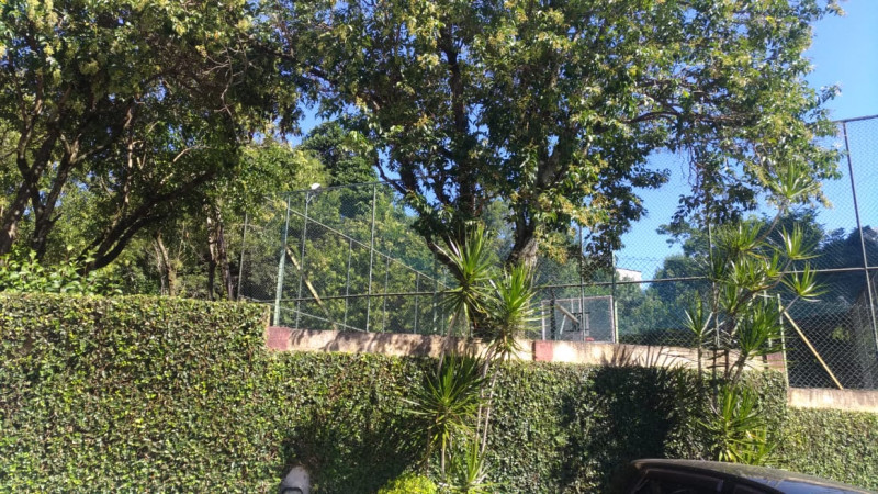 Apartamento à venda Jardim Esmeralda com 74m² e 3 quartos por R$ 315.000 - 262694242-jardim-foto2.jpg