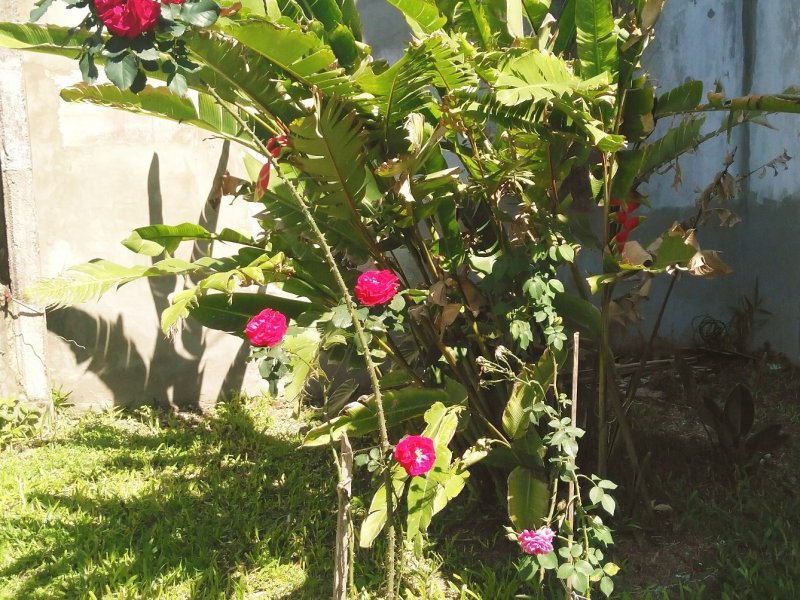 Casa à venda Passo do Feijó com 270m² e 6 quartos por R$ 690.000 - 2096585460-img-20210915-1151502.jpg