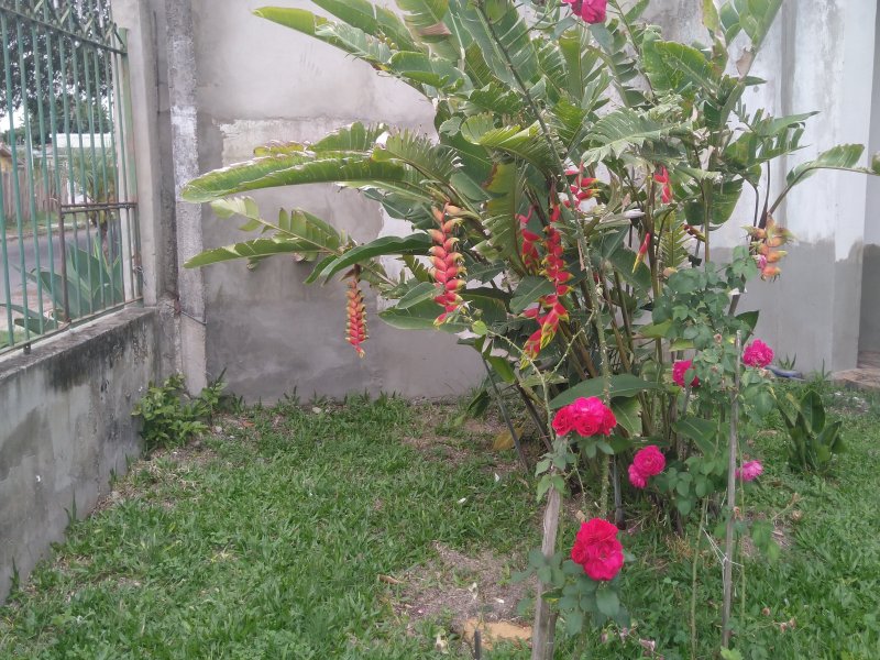 Casa à venda Passo do Feijó com 270m² e 6 quartos por R$ 690.000 - 648220835-img-20211128-123330.jpg