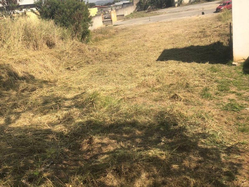 Terreno à venda Centro com 564m² e 1 quarto por R$ 260.000 - 2097772102-whatsapp-image-2021-08-19-at-11.jpeg