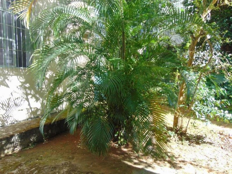 Apartamento à venda Graça com 80m² e 3 quartos por R$ 295.000 - 1738010736-ab8ca5e1a07c218aa73dbdd35263aaa2.jpg