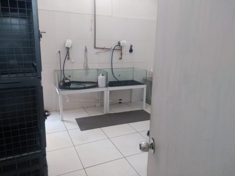 Comercial à venda Nações com 285m² e 1 quarto por R$ 1.100.000 - 2030078854-whatsapp-image-2021-08-19-at-10.jpeg