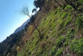 Terreno à venda Atibaia Belvedere com 1000m² - 1 dormitório -  vagas - R$ 80.000 - 1606761032-whatsapp-image-2019-07-09-at-11.jpeg