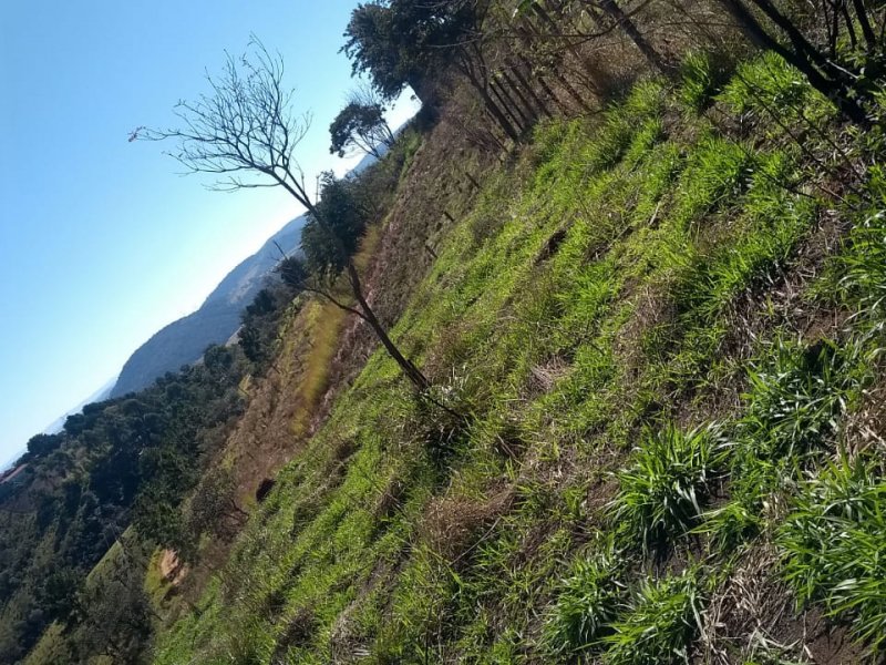 Terreno à venda Atibaia Belvedere com 1000m² e 1 quarto por R$ 80.000 - 1606761032-whatsapp-image-2019-07-09-at-11.jpeg