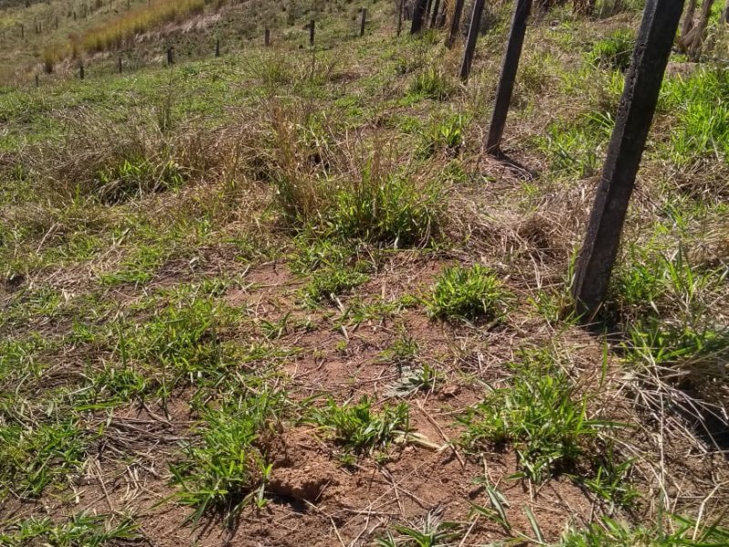 Terreno à venda Atibaia Belvedere com 1000m² e 1 quarto por R$ 80.000 - 715675165-whatsapp-image-2019-08-16-at-15.jpeg