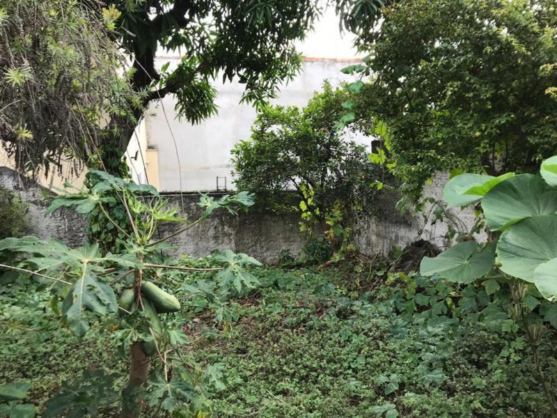 imóvel com 375m² - Lauzane Paulista - São Paulo