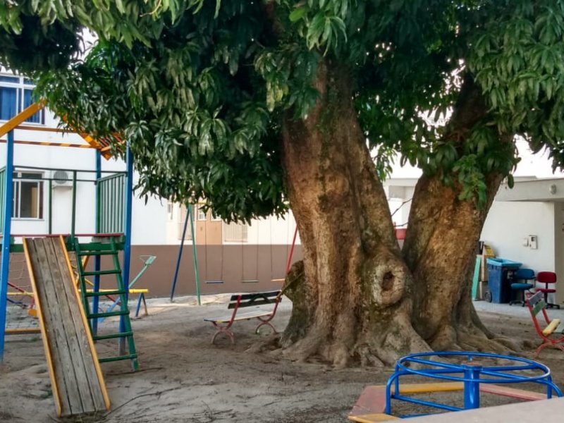imóvel com 67m² - Coqueiros - Florianópolis