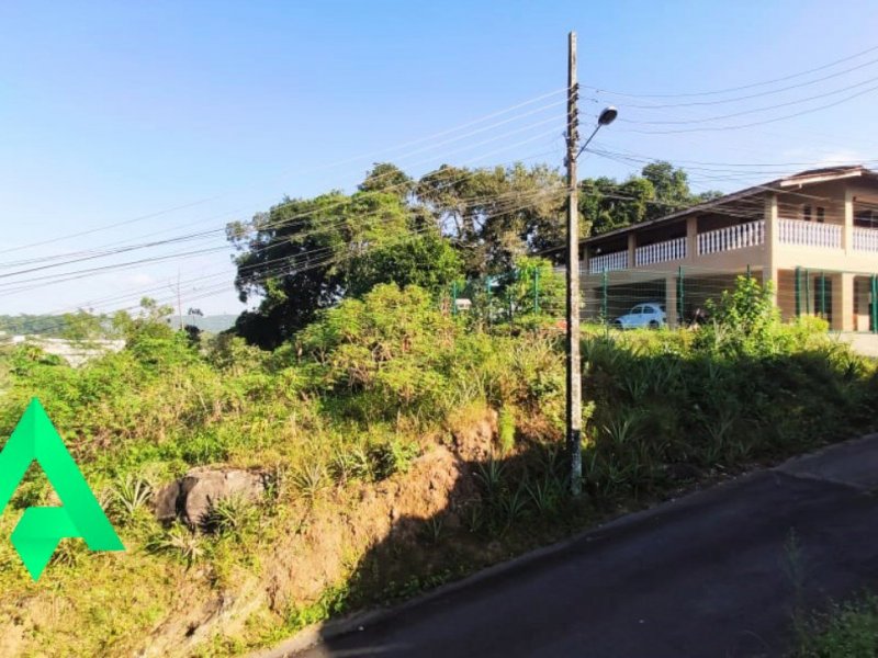 Casa à venda Bela Vista com 370m² e 4 quartos por R$ 550.000 - 2034302600-foto19.jpg