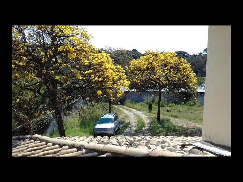Casa à venda Pampulha com 1200m² e 4 quartos por R$ 1.950.000 - 1622797375-fb-img-1616926133869.jpg