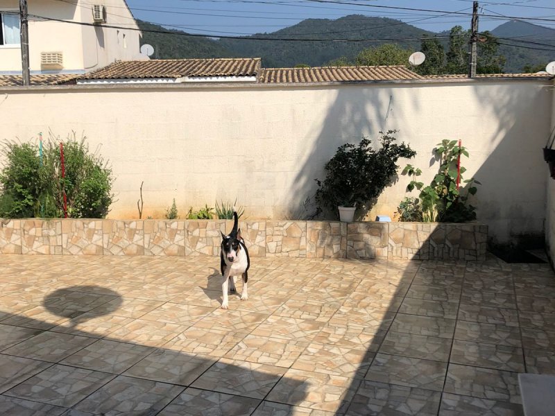 Casa à venda Cedros com 73m² e 3 quartos por R$ 375.000 - 1426296116-inbound2943222167533870627.jpg