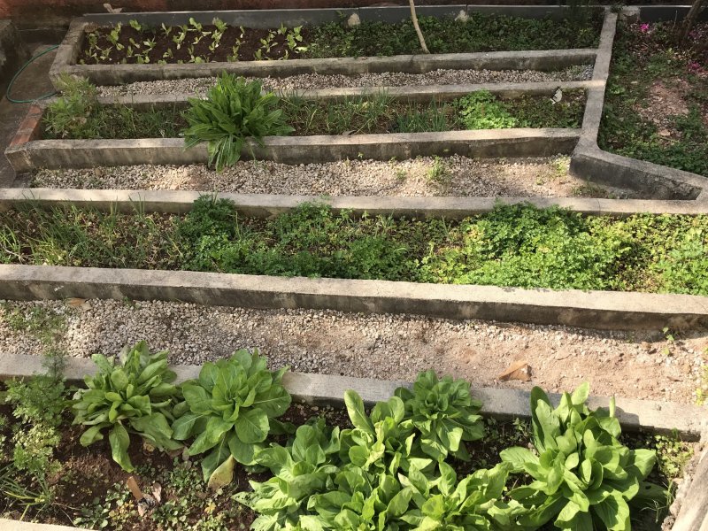 imóvel com 54m² - Butantã - São Paulo