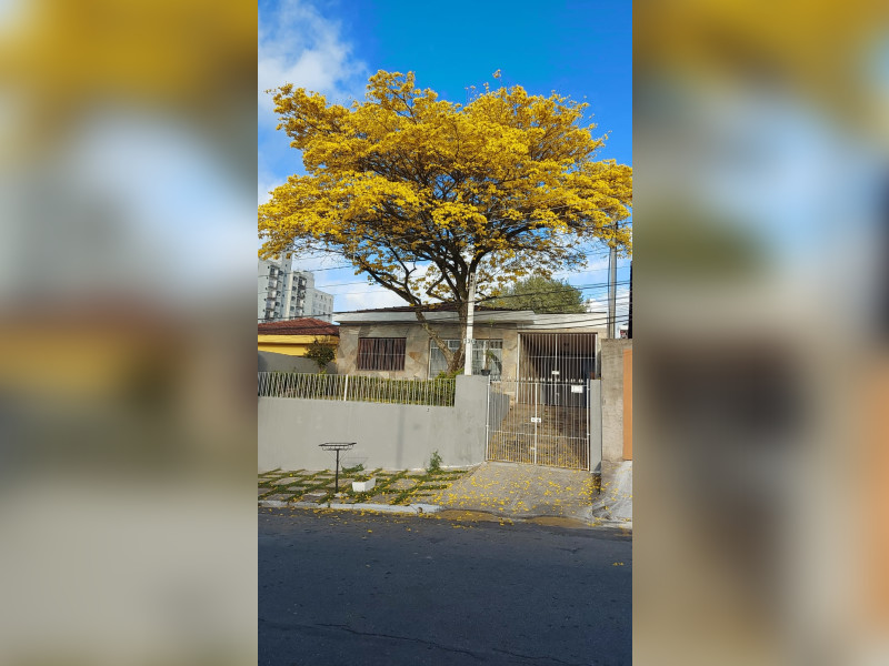 Casa à venda Umarizal com 126m² e 4 quartos por R$ 760.000 - umarizal-2021.jpg