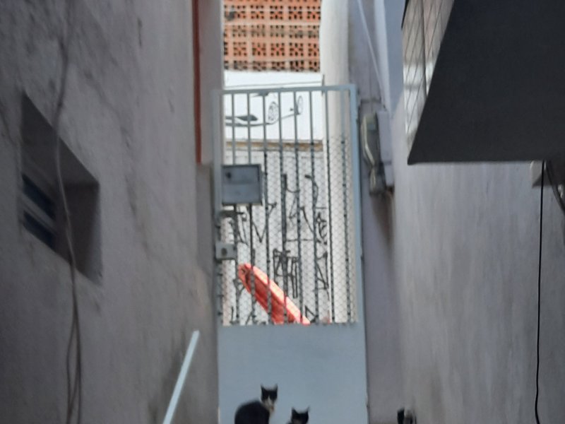 Casa à venda Jardim Adutora com 120m² e 2 quartos por R$ 190.000 - 437891111-20210715-092225.jpg