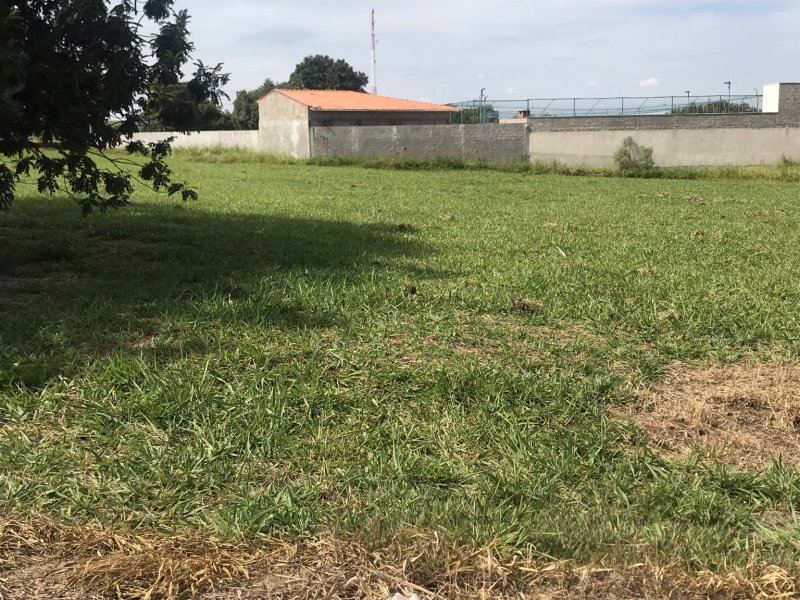 Terreno à venda Centro com 1124m² e 1 quarto por R$ 115.000 - 1146067031-img-3253.JPEG