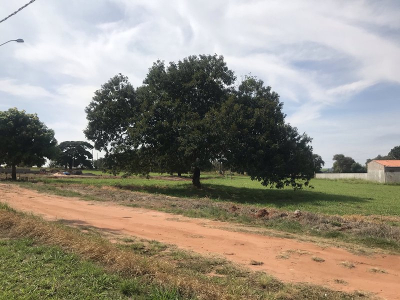 Terreno à venda Centro com 1124m² e 1 quarto por R$ 115.000 - 2107634214-img-3255.JPEG