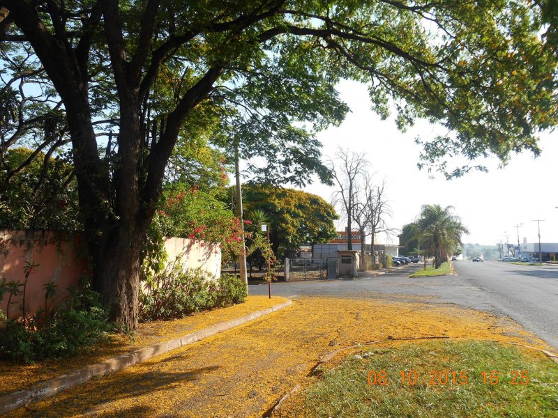 Chácara à venda Jardim Pedroso com 5m² e 5 quartos por R$ 3.000.000 - 101708229-12091359-10207096190138472-6219736460122939016-o.jpg