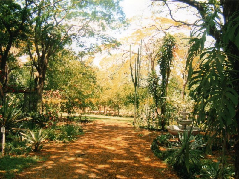Chácara à venda Jardim Pedroso com 5m² e 5 quartos por R$ 3.000.000 - 103742399-025.JPG