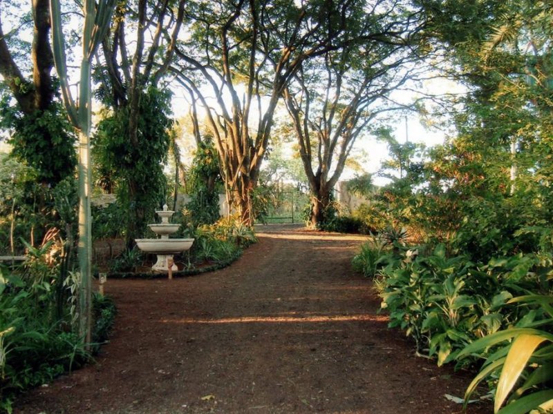 Chácara à venda Jardim Pedroso com 5m² e 5 quartos por R$ 3.000.000 - 1043237613-24232745-10213989094696778-2355441976705944371-n.jpg