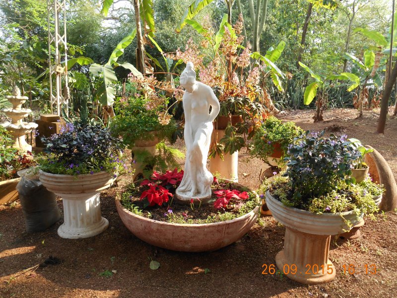 Chácara à venda Jardim Pedroso com 5m² e 5 quartos por R$ 3.000.000 - 1043368001-dscn2972.JPG