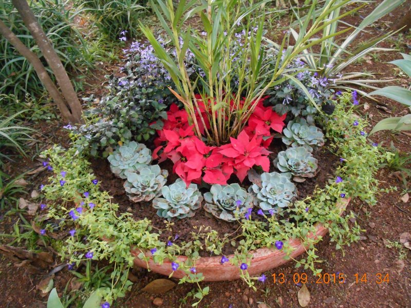 Chácara à venda Jardim Pedroso com 5m² e 5 quartos por R$ 3.000.000 - 1104633924-12034339-10206963680505814-3491713591978815959-o.jpg