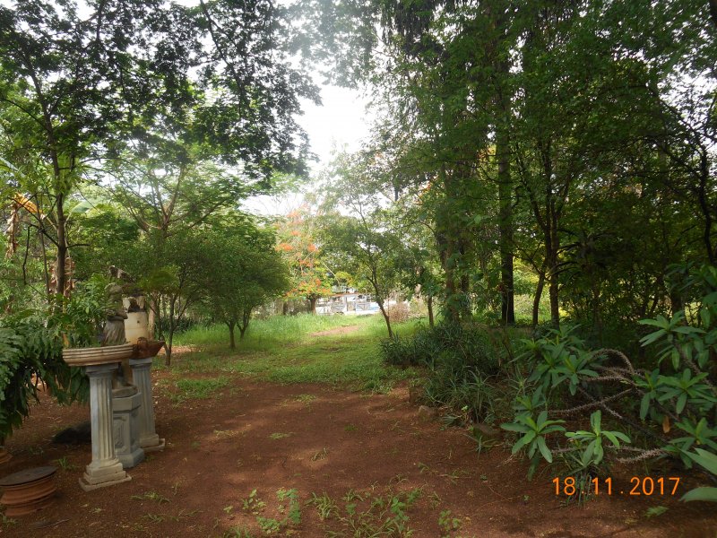 Chácara à venda Jardim Pedroso com 5m² e 5 quartos por R$ 3.000.000 - 1267910629-dscn3219.JPG