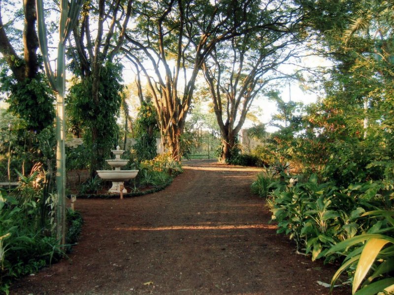 Chácara à venda Jardim Pedroso com 5m² e 5 quartos por R$ 3.000.000 - 127792597-026.JPG